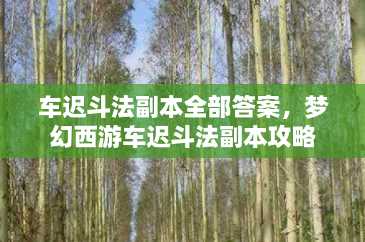 车迟斗法副本全部答案，梦幻西游车迟斗法副本攻略