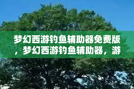 梦幻西游钓鱼辅助器免费版，梦幻西游钓鱼辅助器，游戏玩家的新宠？