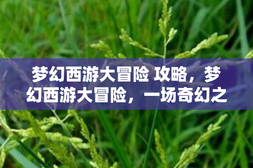 梦幻西游大冒险 攻略，梦幻西游大冒险，一场奇幻之旅