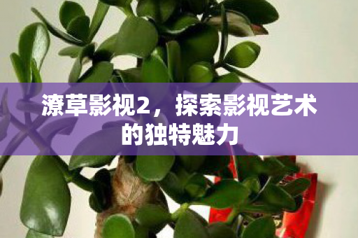 潦草影视2,探索影视艺术的独特魅力 潦草影视2,探索影视艺术的独特魅力