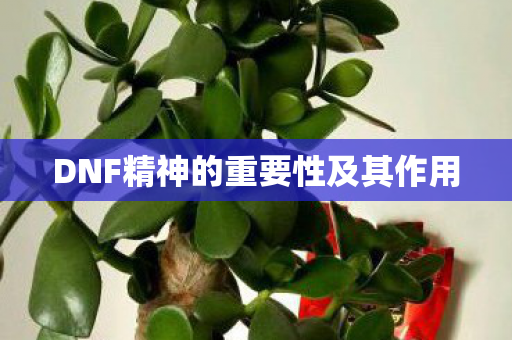 DNF精神的重要性及其作用