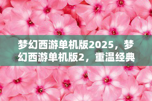梦幻西游单机版2025，梦幻西游单机版2，重温经典，探索未知之旅