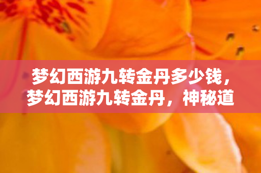 梦幻西游九转金丹多少钱，梦幻西游九转金丹，神秘道具背后的故事与攻略