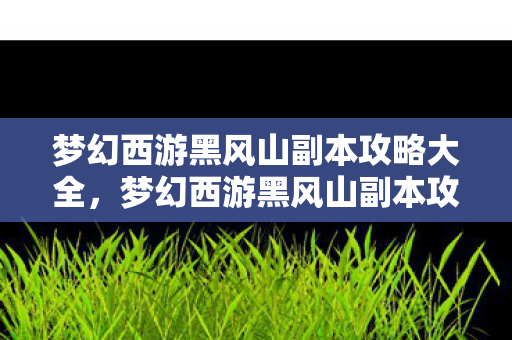 梦幻西游黑风山副本攻略大全，梦幻西游黑风山副本攻略