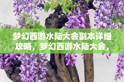 梦幻西游水陆大会副本详细攻略，梦幻西游水陆大会，一场不容错过的精彩盛宴
