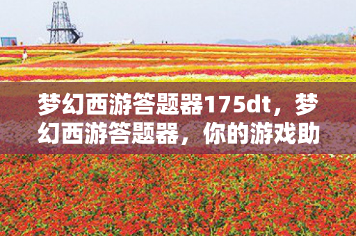梦幻西游答题器175dt，梦幻西游答题器，你的游戏助手