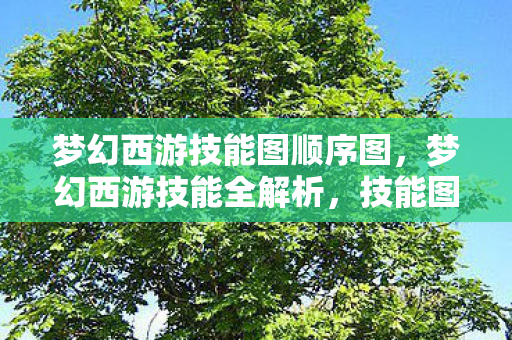 梦幻西游技能图顺序图，梦幻西游技能全解析，技能图详解与攻略指南