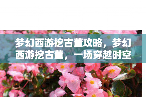 梦幻西游挖古董攻略，梦幻西游挖古董，一场穿越时空的寻宝之旅