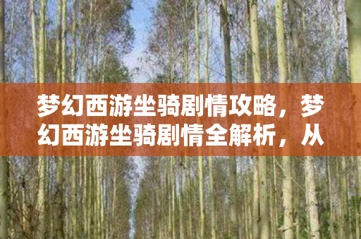 梦幻西游坐骑剧情攻略，梦幻西游坐骑剧情全解析，从入门到精通的奇幻之旅