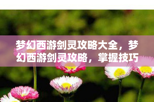 梦幻西游剑灵攻略大全，梦幻西游剑灵攻略，掌握技巧，轻松通关！