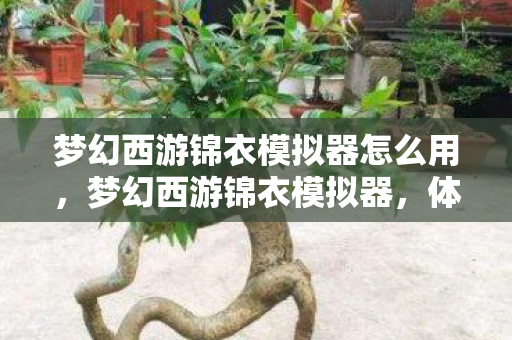 梦幻西游锦衣模拟器怎么用，梦幻西游锦衣模拟器，体验不一样的梦幻人生