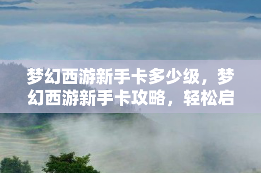 梦幻西游新手卡多少级，梦幻西游新手卡攻略，轻松启程你的西游之旅