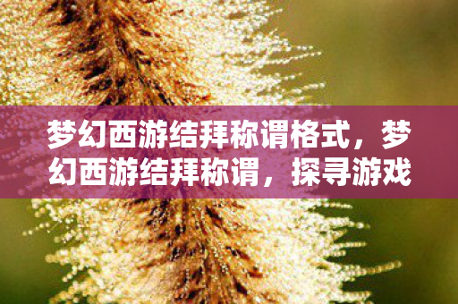 梦幻西游结拜称谓格式，梦幻西游结拜称谓，探寻游戏中的兄弟情义