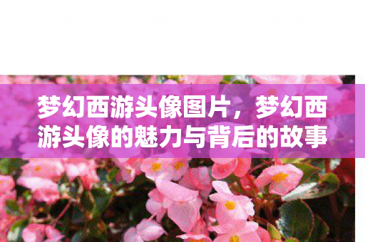 梦幻西游头像图片，梦幻西游头像的魅力与背后的故事