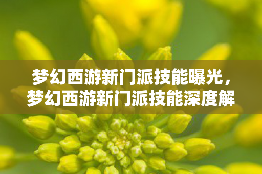 梦幻西游新门派技能曝光，梦幻西游新门派技能深度解析