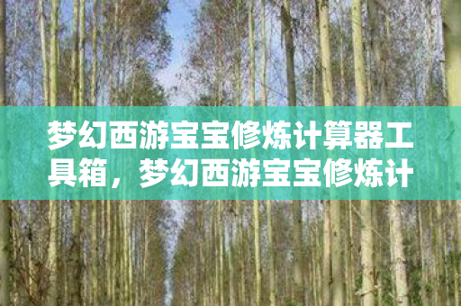 梦幻西游宝宝修炼计算器工具箱，梦幻西游宝宝修炼计算器，助力你成为修炼大师