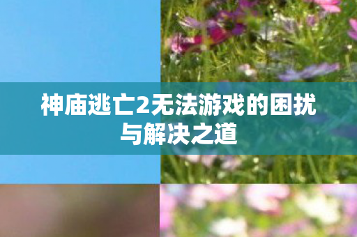 神庙逃亡2无法游戏的困扰与解决之道