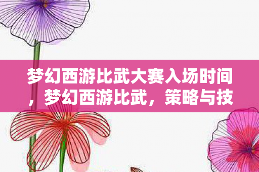 梦幻西游比武大赛入场时间，梦幻西游比武，策略与技巧的深度解析