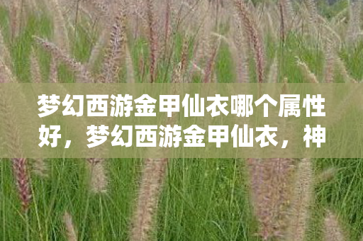 梦幻西游金甲仙衣哪个属性好，梦幻西游金甲仙衣，神秘装备背后的故事与攻略