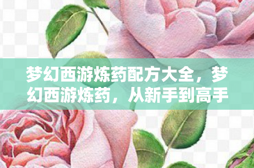 梦幻西游炼药配方大全，梦幻西游炼药，从新手到高手的全面解析