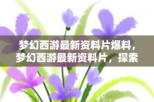 梦幻西游最新资料片爆料，梦幻西游最新资料片，探索未知领域，开启全新篇章！