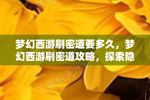 梦幻西游刷密道要多久，梦幻西游刷密道攻略，探索隐藏副本，轻松获取丰厚奖励！