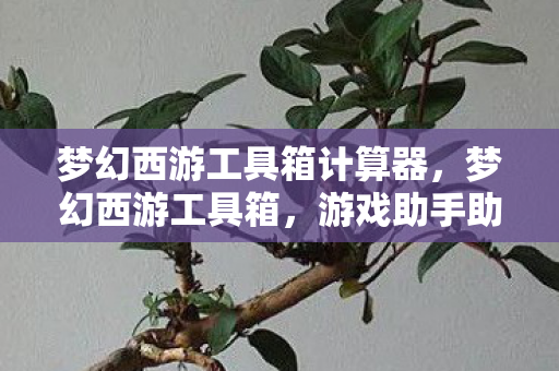 梦幻西游工具箱计算器，梦幻西游工具箱，游戏助手助你轻松玩转西游世界