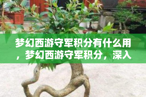 梦幻西游守军积分有什么用，梦幻西游守军积分，深入解析与攻略