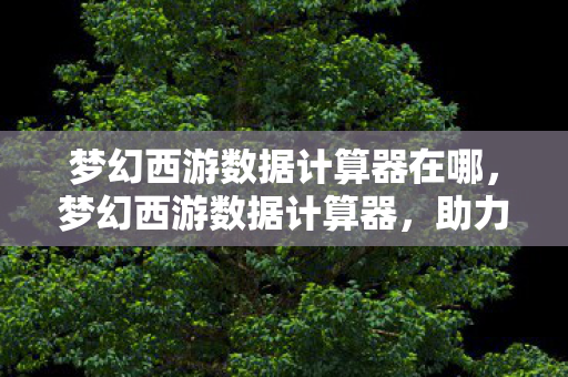梦幻西游数据计算器在哪，梦幻西游数据计算器，助力玩家轻松掌握游戏策略