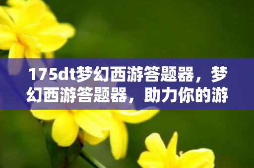 175dt梦幻西游答题器，梦幻西游答题器，助力你的游戏智慧与乐趣并行下载