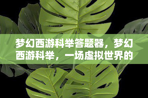 梦幻西游科举答题器，梦幻西游科举，一场虚拟世界的智慧竞赛