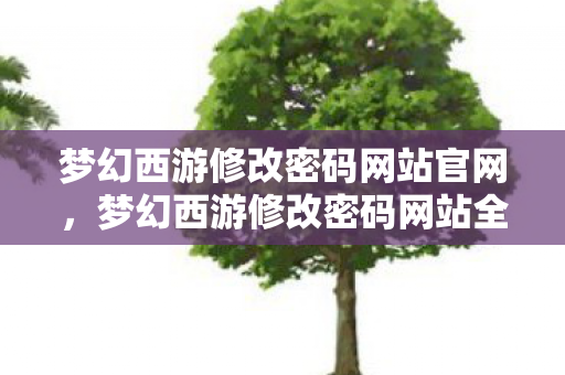 梦幻西游修改密码网站官网，梦幻西游修改密码网站全解析，安全与便捷并重