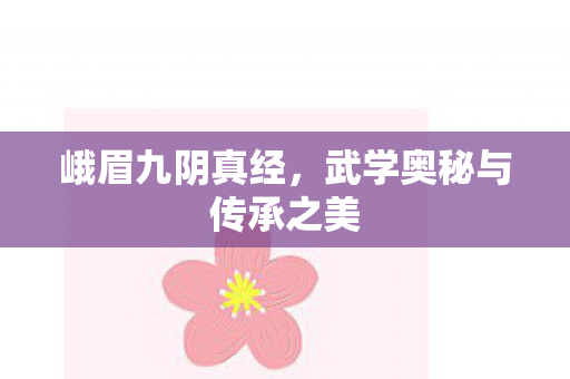 峨眉九阴真经，武学奥秘与传承之美