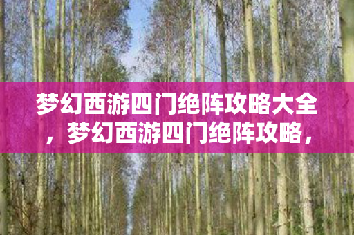 梦幻西游四门绝阵攻略大全，梦幻西游四门绝阵攻略，揭秘神秘副本挑战之旅