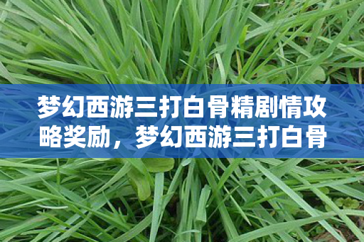 梦幻西游三打白骨精剧情攻略奖励，梦幻西游三打白骨精剧情，一场跨越时空的冒险之旅