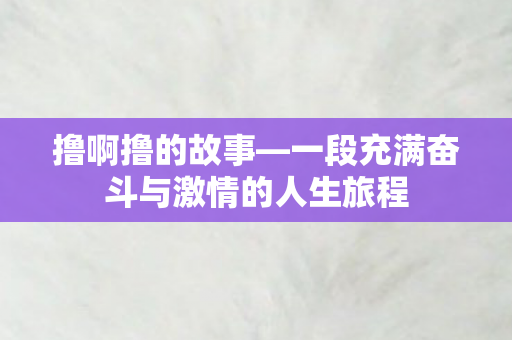 撸啊撸的故事—一段充满奋斗与激情的人生旅程