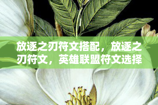 放逐之刃符文搭配，放逐之刃符文，英雄联盟符文选择的新篇章