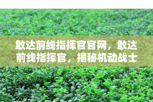 敢达前线指挥官官网，敢达前线指挥官，揭秘机动战士高达宇宙的神秘魅力