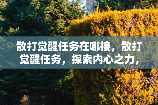 散打觉醒任务在哪接，散打觉醒任务，探索内心之力，迈向武道巅峰