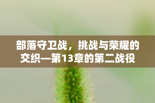 部落守卫战，挑战与荣耀的交织—第13章的第二战役