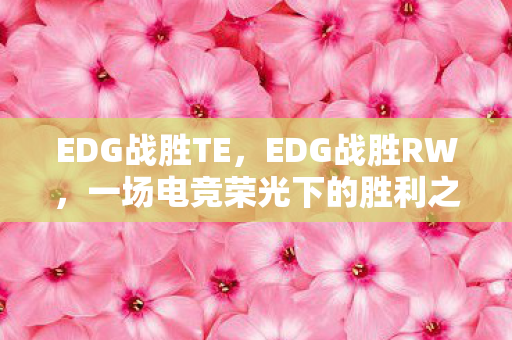 EDG战胜TE，EDG战胜RW，一场电竞荣光下的胜利之战