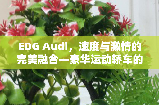 EDG Audi，速度与激情的完美融合—豪华运动轿车的典范