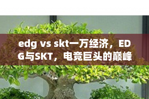 edg vs skt一万经济，EDG与SKT，电竞巨头的巅峰对决