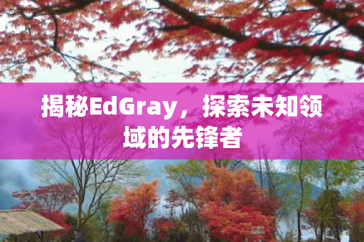 揭秘EdGray，探索未知领域的先锋者
