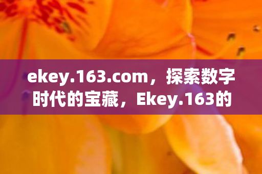 ekey.163.com，探索数字时代的宝藏，Ekey.163的无限可能