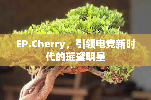 EP.Cherry，引领电竞新时代的璀璨明星