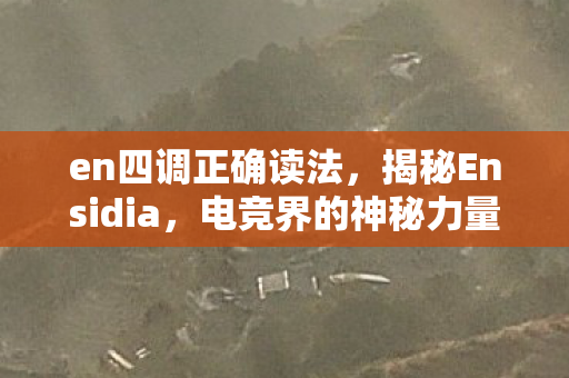 en四调正确读法，揭秘Ensidia，电竞界的神秘力量