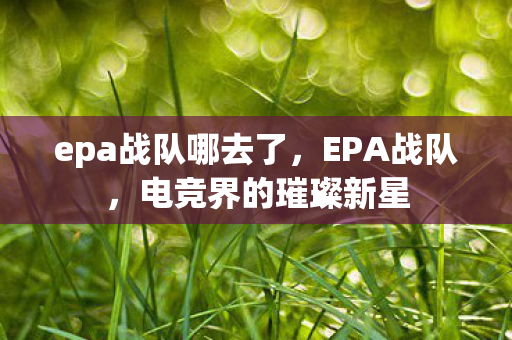 epa战队哪去了，EPA战队，电竞界的璀璨新星