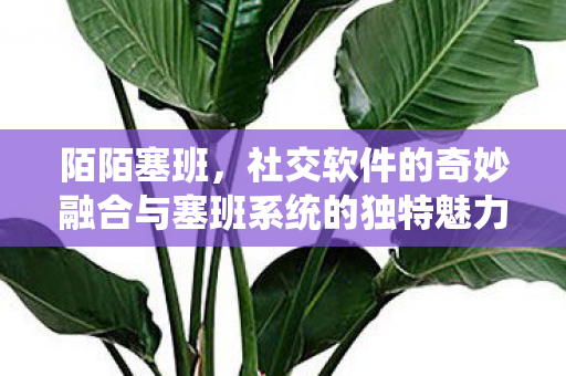 陌陌塞班，社交软件的奇妙融合与塞班系统的独特魅力