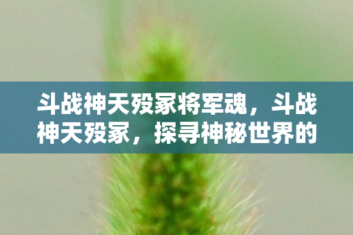 斗战神天殁冢将军魂，斗战神天殁冢，探寻神秘世界的无尽奥秘